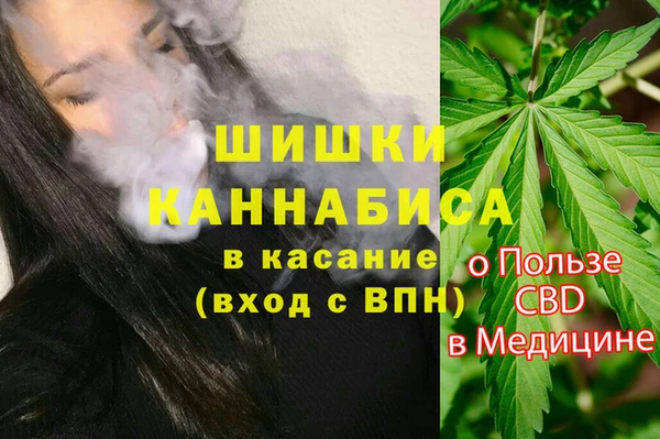 2c-b Алзамай