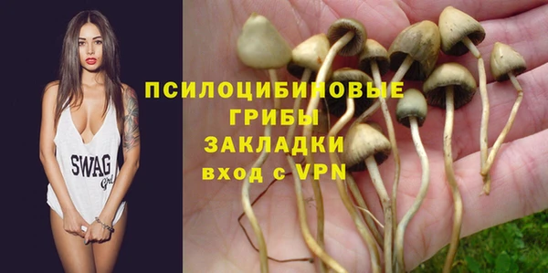 дмт Алексин