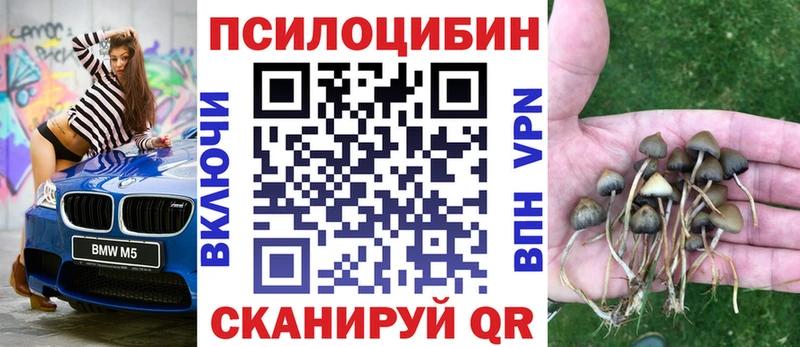 Галлюциногенные грибы Cubensis  blacksprut рабочий сайт  Первоуральск  купить наркотики сайты 
