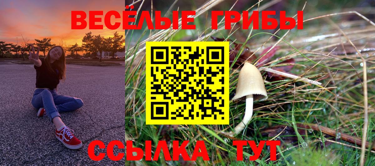 Галлюциногенные грибы мицелий  Вход с VPN  Первоуральск  Псилоцибиновые грибы Psilocybe 
